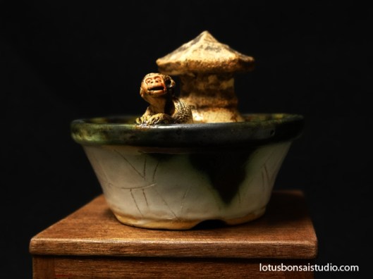 bonsai-monkey-accent-pot