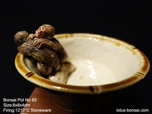 bonsai-monkey-pot-62b