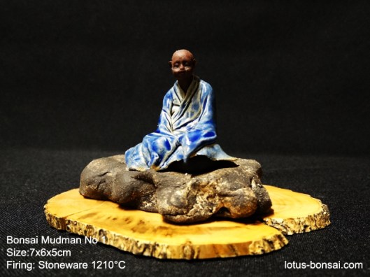 bonsai-mudman-1