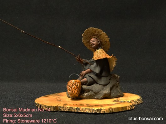 bonsai-mudman-14