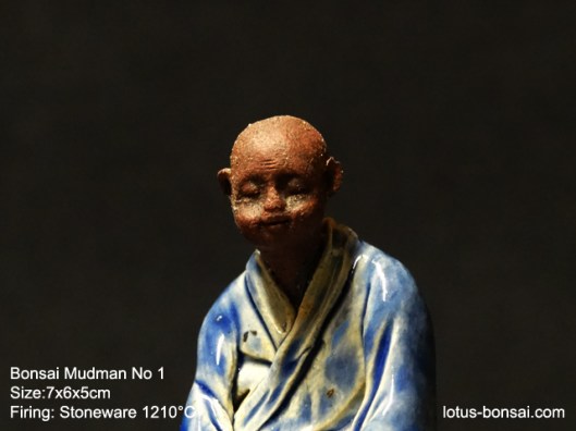 bonsai-mudman-1c