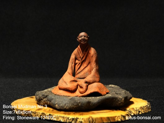 bonsai-mudman-3