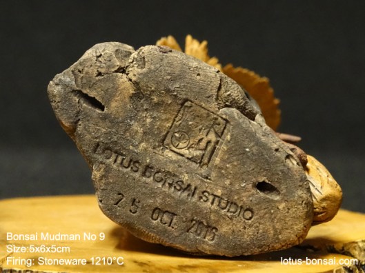 bonsai-mudman-9d