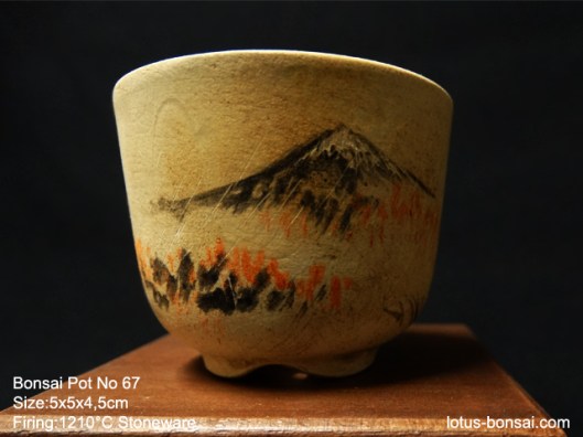 bonsai-pot-67b