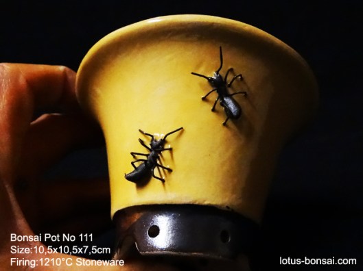 bonsai-ant-pot-no-111