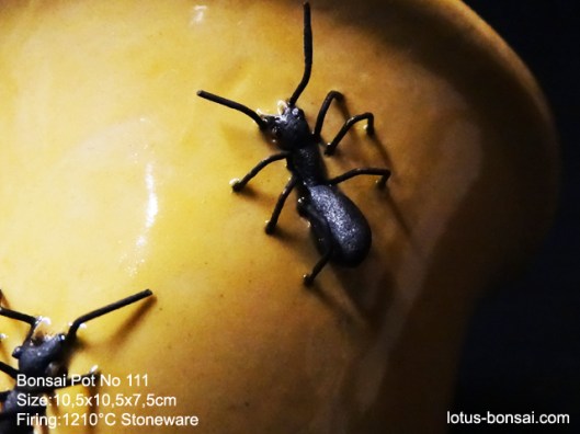 bonsai-ant-pot-no-111b
