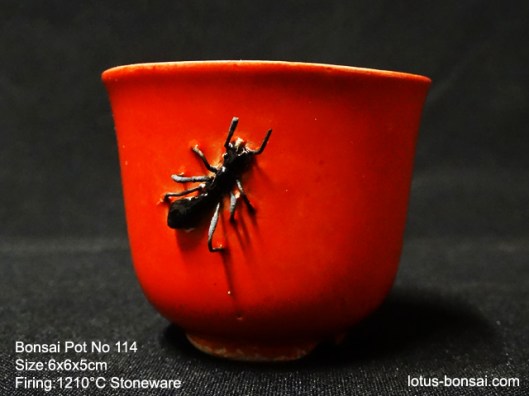 bonsai-ant-pot-no-114