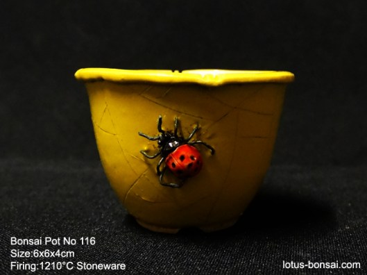 bonsai-ant-pot-no-116