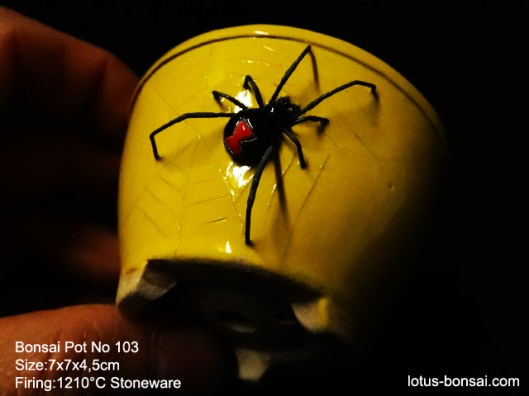 bonsai-black-widow-spider-pot-no-103
