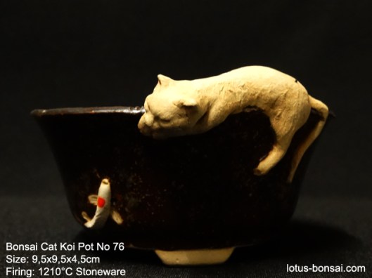 bonsai-cat-koi--pot-No-7
