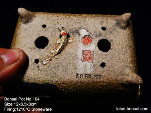 bonsai-frog-pot-No-104bc