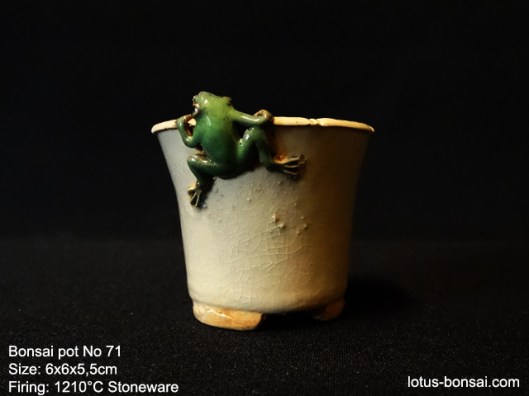 bonsai-frog-pot-No-71