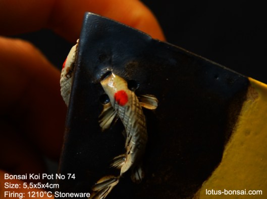 bonsai-koi--pot-No-74b