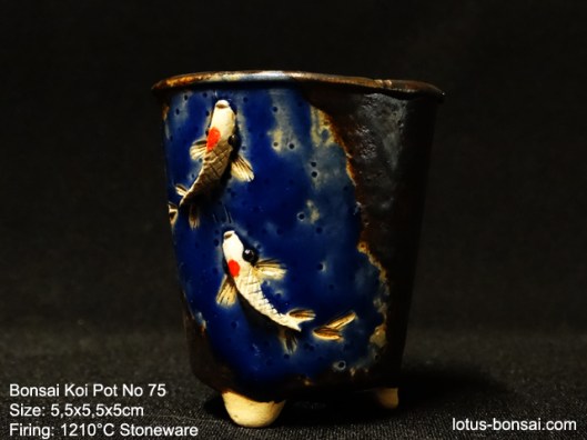bonsai-koi--pot-No-75