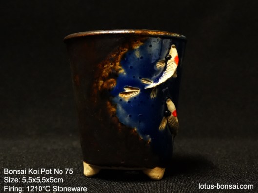 bonsai-koi--pot-No-75b