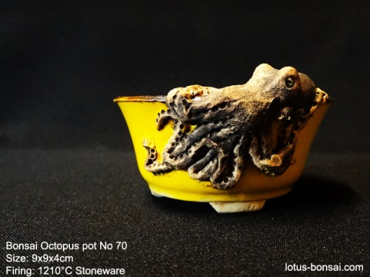 bonsai-octopus-pot-No-70