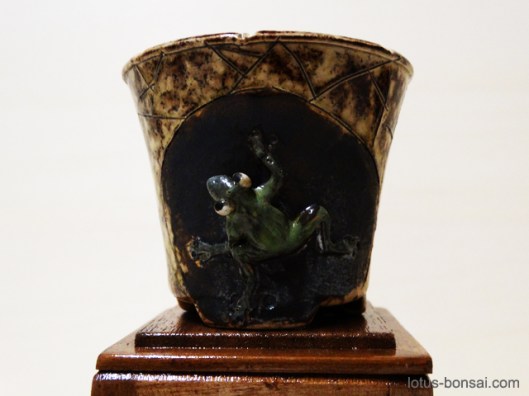 bonsai-frog-pot