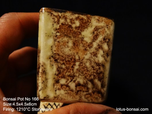 bonsai-pot-no-166e