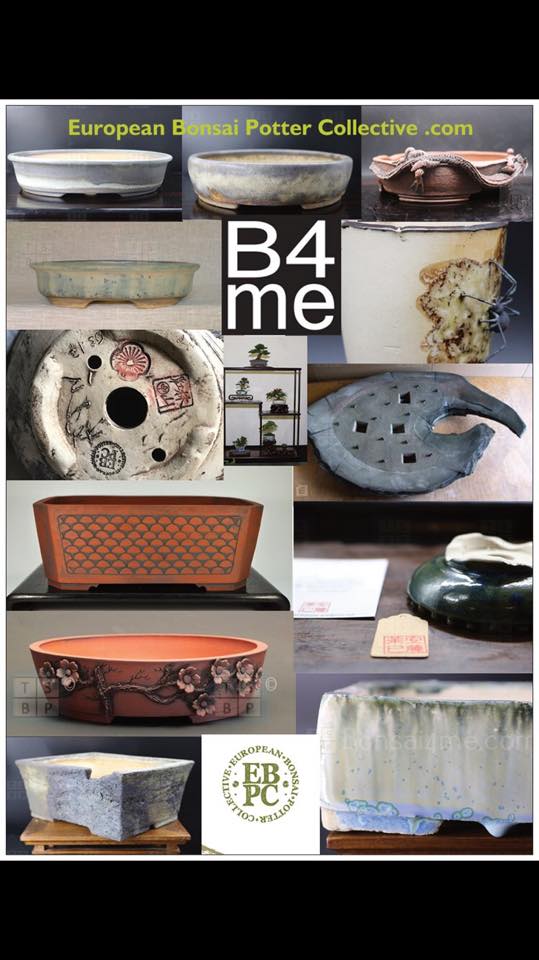 ebpc bonsai pot