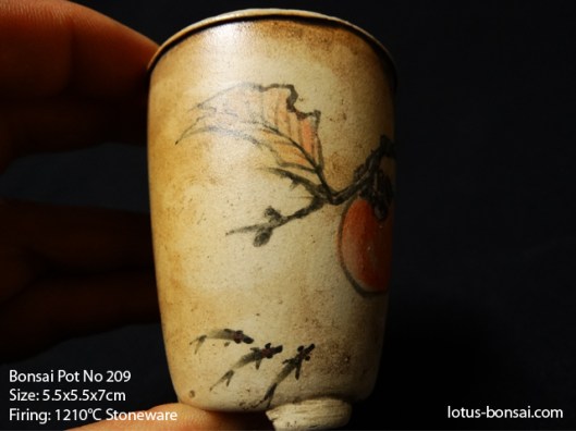bonsai-pot-No-209b