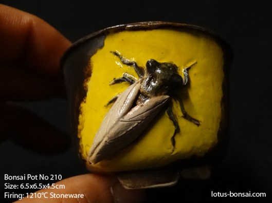 bonsai-pot-No-210