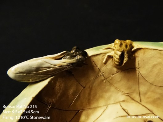 bonsai-pot-No-215b