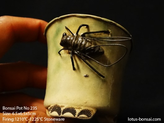 bonsai-pot-No-235