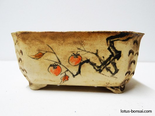 bonsai-kaki-pot