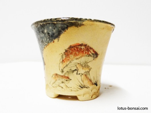 bonsai-mushroon-pot