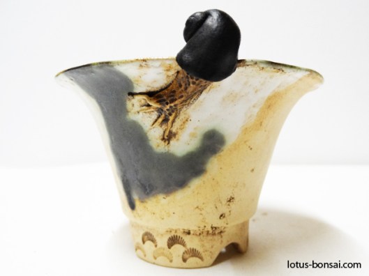 bonsai-snail-pot