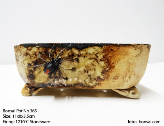 bonsai-pot-no-365