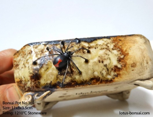 bonsai-pot-no-365b