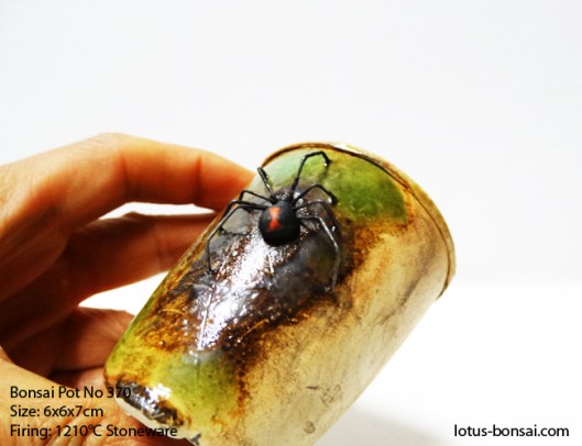 bonsai-pot-no-370b