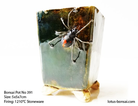 Bonsai-pot-no-391