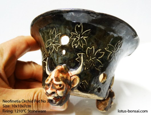 neofinetia-pot-no-366e