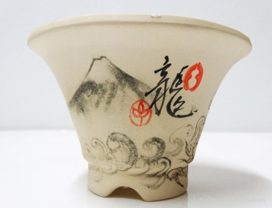 bonsai-dragon-pot-lotus