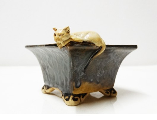 bonsai-cat-pot