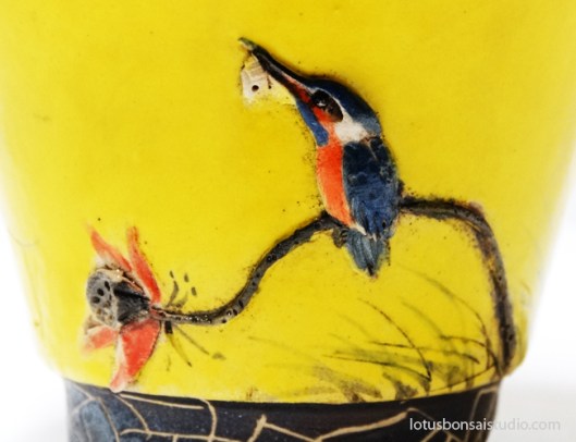 bonsai-kingfisher-pot-lotus