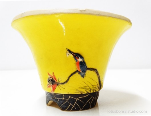 bonsai-kingfisher-pot