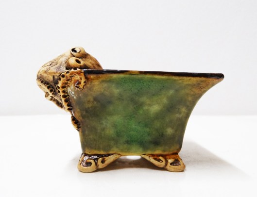 bonsai-octopus-2