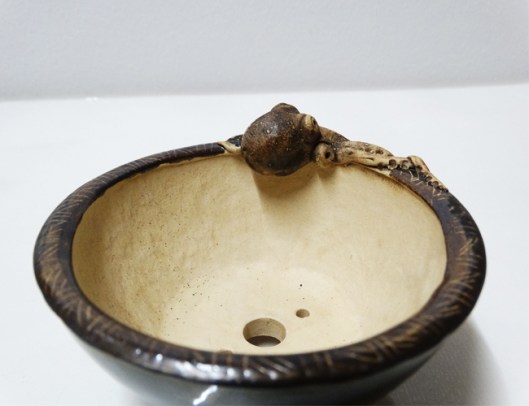 bonsai-octopus-pot-lotus