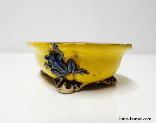 bonsai-frog-pot-2