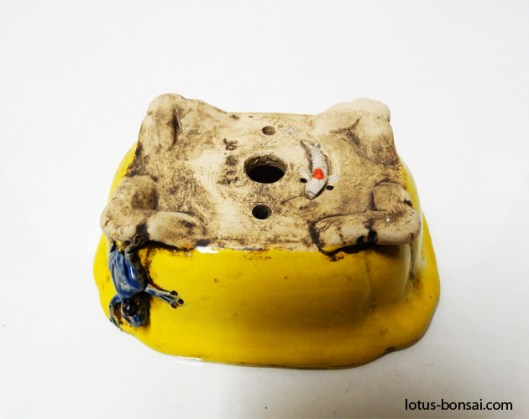 bonsai-frog-pot-3