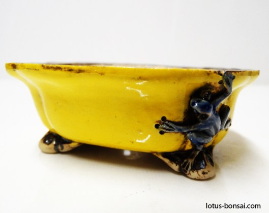 bonsai-frog-pot