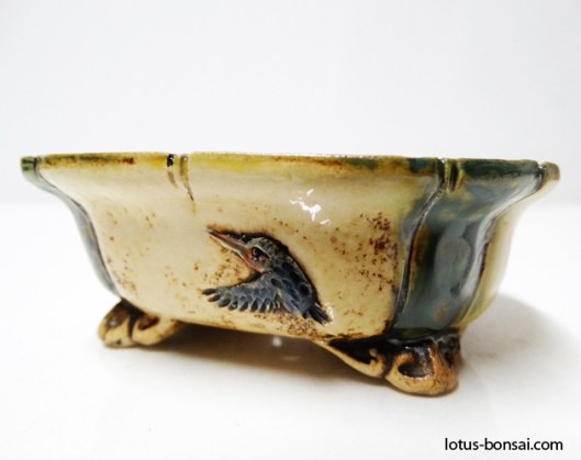 bonsai-kingfisher-pot