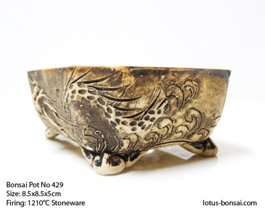bonsai-pot-dragon-no-429-b