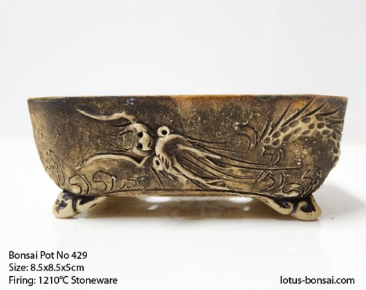 bonsai-pot-dragon-no-429
