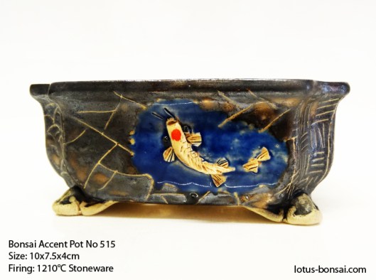 bonsai-pot-no-515b