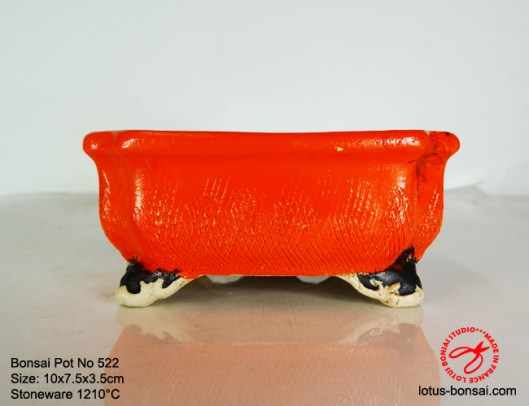 bonsai-pot-on-522c