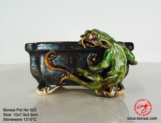bonsai-pot-on-523